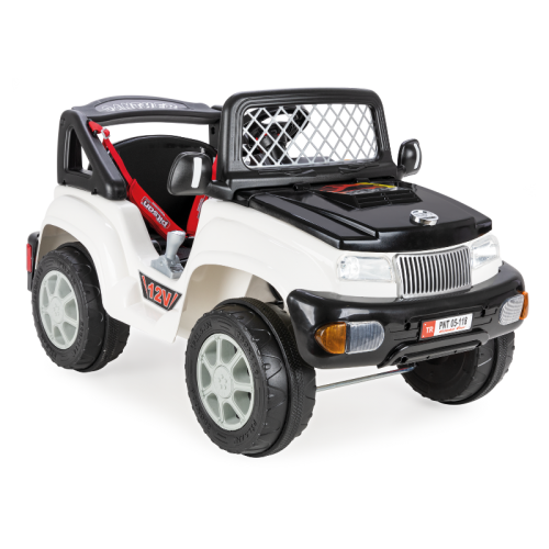 12 WOLT UZAKTAN  KUMANDALI